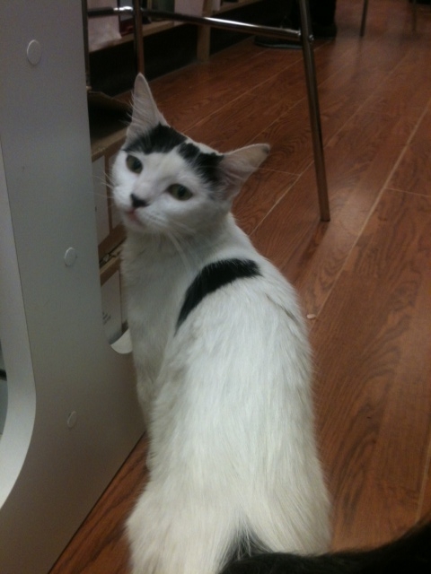 Photo of Chatterbox