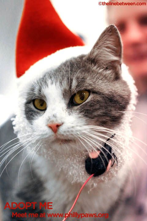Photo of Mr. Magoo