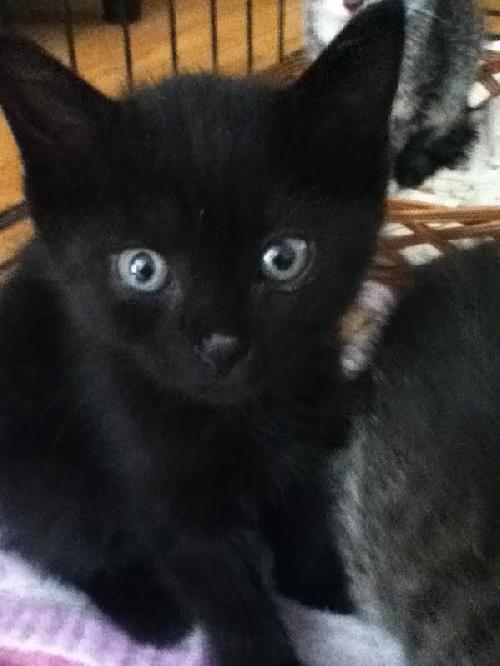 Photo of Annie
