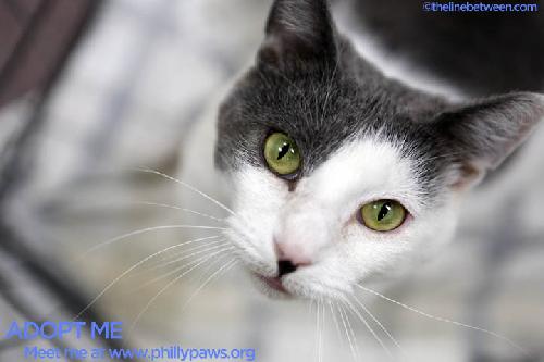 Photo of Lady