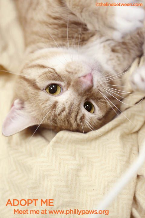 Photo of Sunny Le Mew