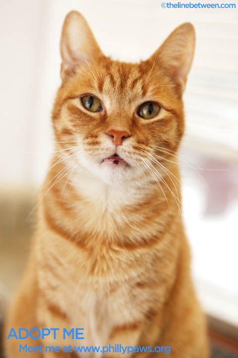 Photo of Loco