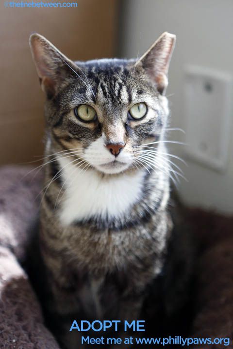 Photo of Peter