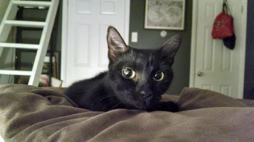 Photo of Duchess
