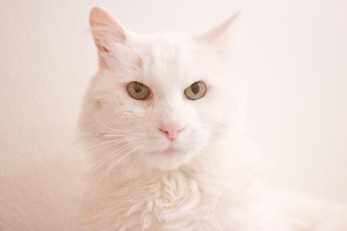 Photo of Randy