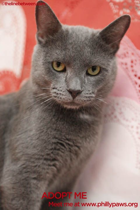 Photo of Smokey