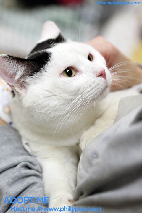 Photo of Mr. Daisy Love