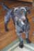 . Winston #2 .
