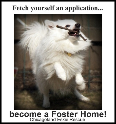 Foster Parents