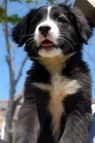 . Dottie .