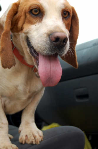 . Roscoe .