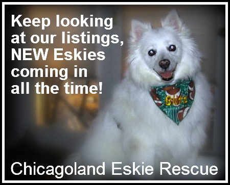 Eskies Coming in!