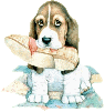 . Foster Homes for Dogs NEEDED .