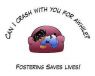 . Foster Homes for Dogs NEEDED .
