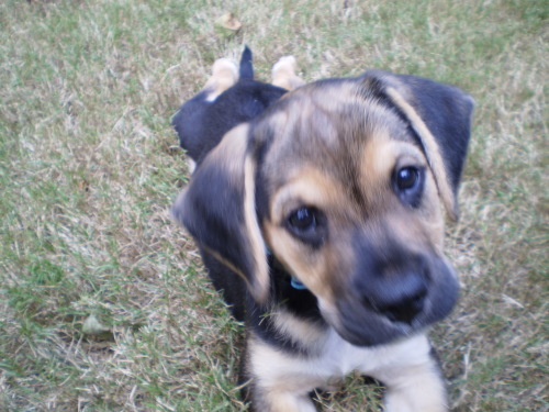 . Willie-Buford, GA .
