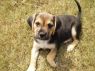 . Willie-Buford, GA .