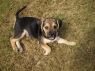 . Willie-Buford, GA .