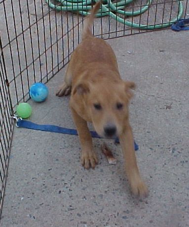 . Ozzie .