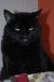 . Salem .