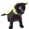 . Buttercup .