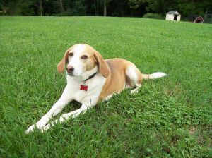 . Katie Girl .