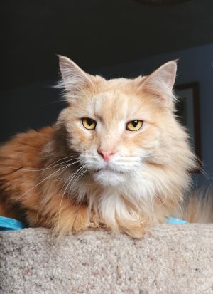 . Sammy .