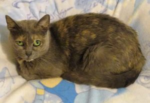 . Dottie .