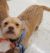 . Micah - ADOPTED! .