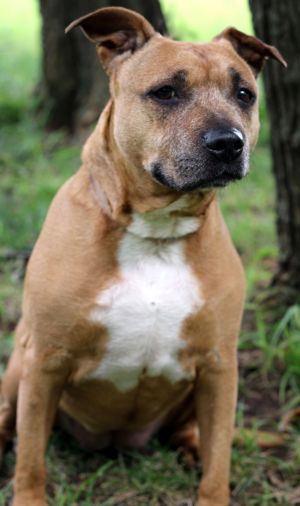 . Heidi .