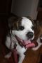 . Zoey .