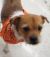. Malek - ADOPTED! .