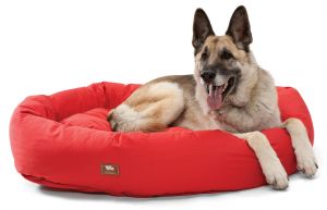 . DONATIONS: BEDS & TOYS .