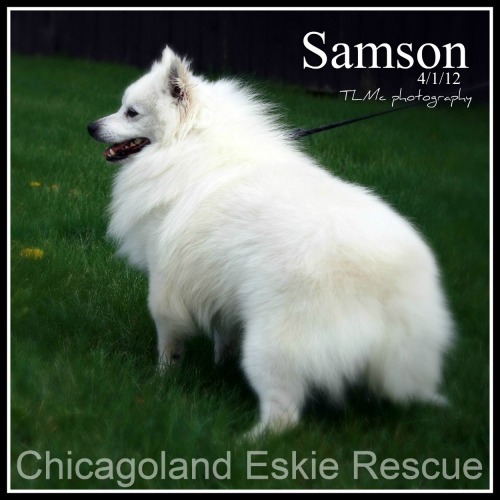 Samson