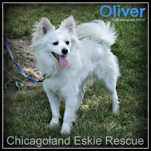 Oliver