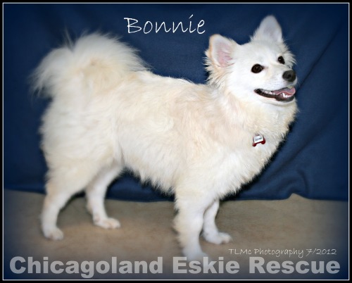 Bonnie