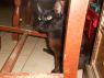 . Kitty .