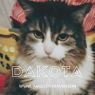 . Dakota .