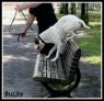 . Bucky .