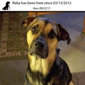 . Reba .