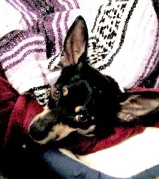 . Buddy #2 .