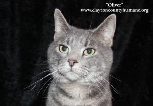 . Oliver .