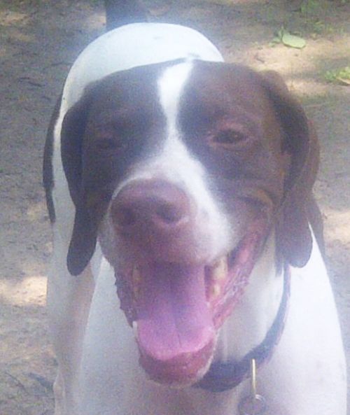 . Rufus #2 .