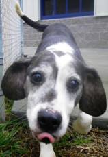 . Dottie .