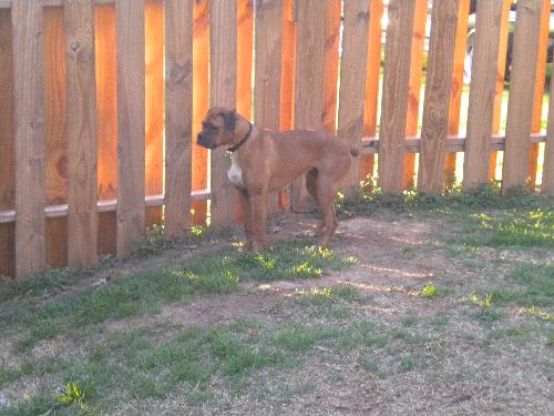 . Sadie .