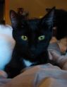 Zoe