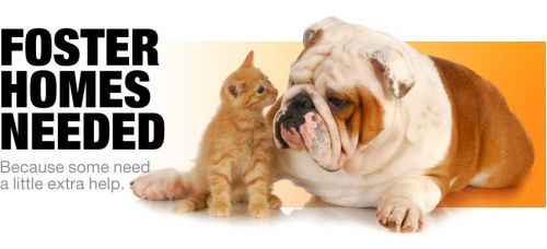 . FOSTERS NEEDED! Dogs of all ages/sizes .