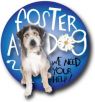 . FOSTERS NEEDED! Dogs of all ages/sizes .