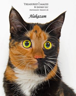 . Alakzam .