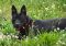 . Mimi 08-17-2013-1 .