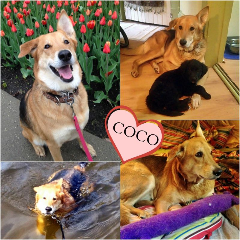 Coco